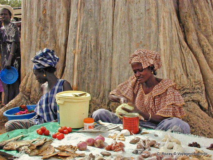 The market vendors bush - Senegal