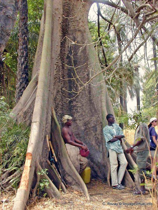 Palaver in the shadow of cheese - Senegal