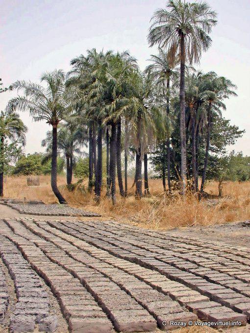 Bricks being dried in the sun - Senegal