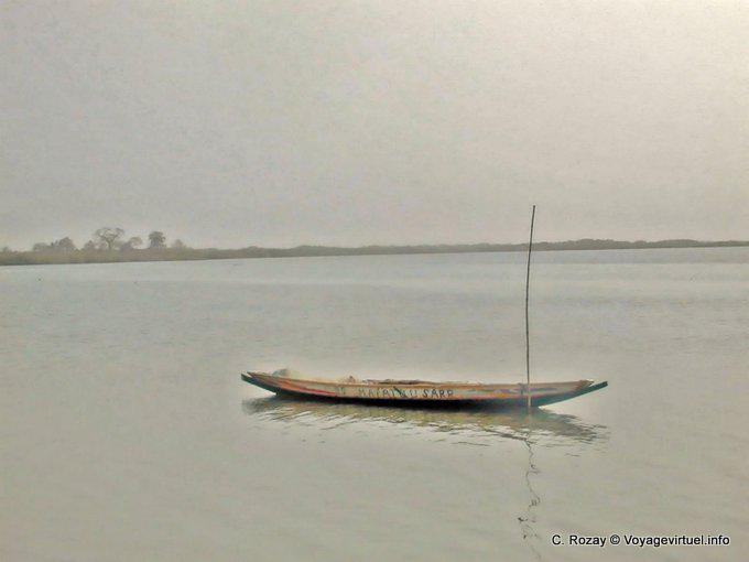 Boat moored to a pole in the Saloum - Senegal