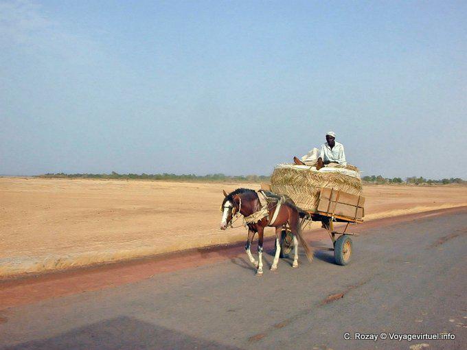 Horseback Riding on the wheel, the Saloum road - Senegal