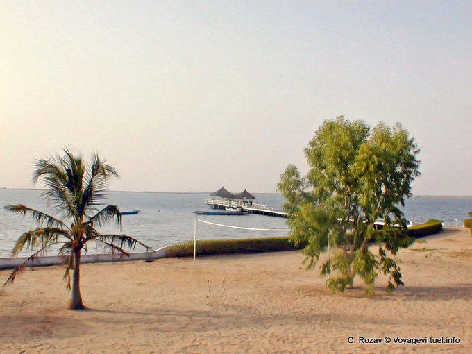Sand, tree and delta, Sine-Saloum - Senegal