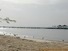 Beach Pier on the Sine Saloum, Senegal.
