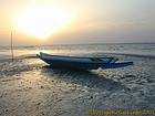 Lying on the banks of the Sine Saloum, Senegal.