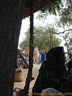 At the market, tree bark and woman dress, Senegal.
