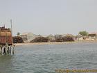 Precious woods by the river, Senegal.
