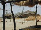 Cases of fishermen in the Sine-Saloum, Senegal.