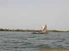 Typical boat sailing and Sine Saloum, Senegal.