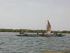 Saloum river boat going up the sail, Senegal.