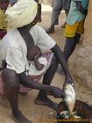 Woman feeding her child while flaking fish - Region Mbam, Senegal.