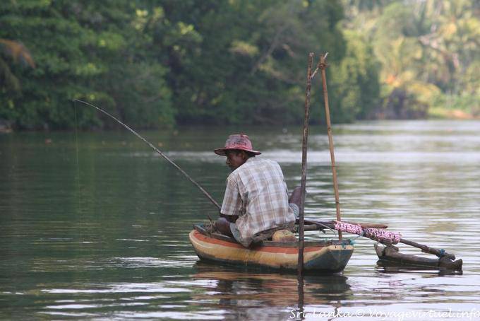 Fishing in the estuary of Bentota - Sri Lanka Ceylon