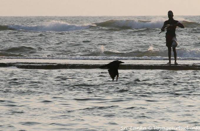 The crow and the fisherman, Beruwela - Sri Lanka Ceylon