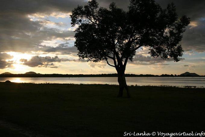 Chinese Shadows, Kandalama Lake - Sri Lanka Ceylon