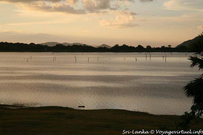Dambulla, wind joke on Lake Kandalama - Sri Lanka Ceylon