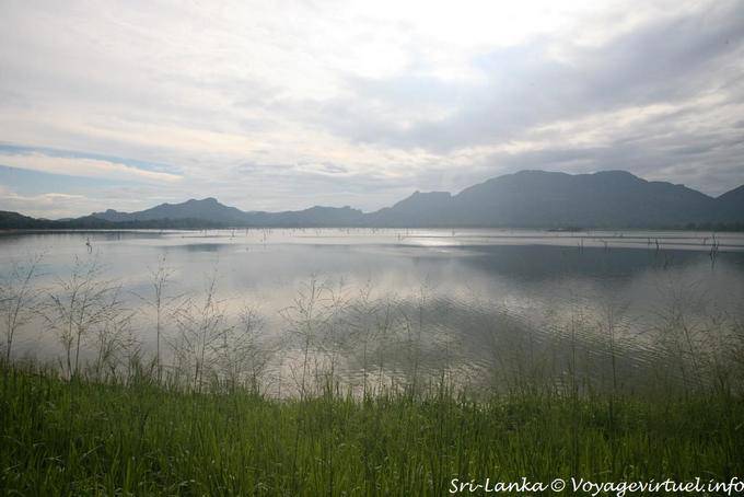 Calm morning on the lake seen from the road Kandalama Dambulla - Sri Lanka Ceylon