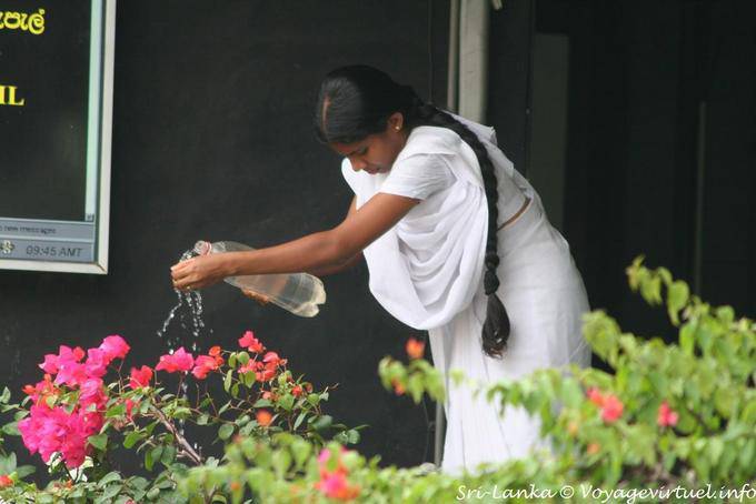 Sari white to temple of golden Buddha, Dambulla - Sri Lanka Ceylon