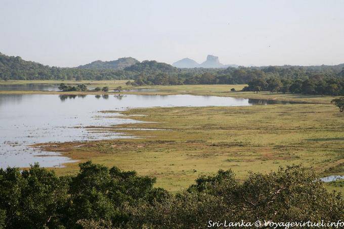 Landscape around the Heritance Kandalama, Dambulla - Sri Lanka Ceylon