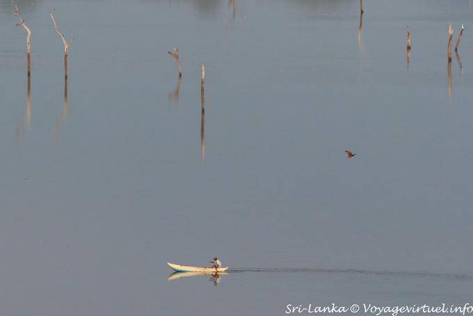 On the Kandalama Lake, fisherman, bird and dead trees, Dambulla - Sri Lanka Ceylon