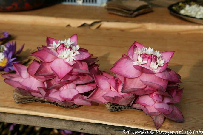 Lotus flower arranging base for offerings, Kandy - Sri Lanka Ceylon