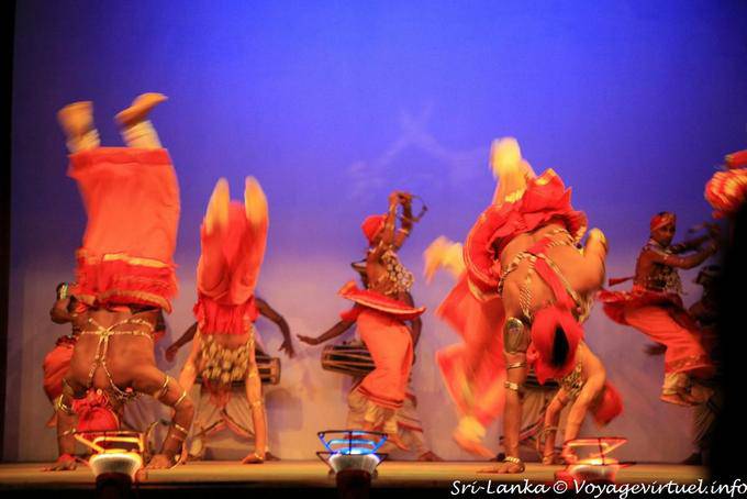 Ass over head to the show, Kandy - Sri Lanka Ceylon