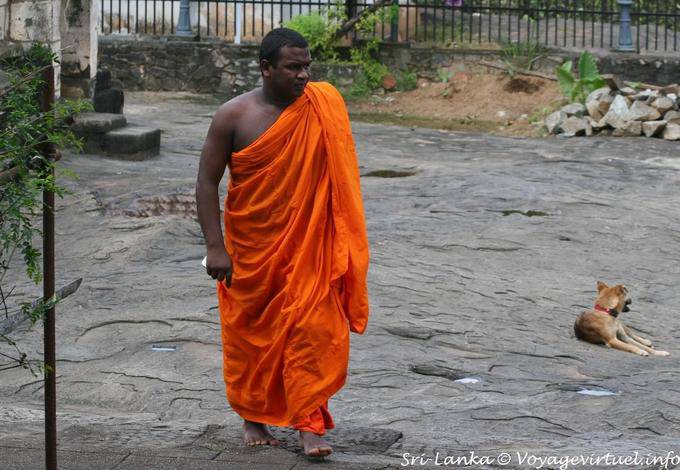 Monk in his saffron robe, Gadaladeniya Temple, Kandy - Sri Lanka Ceylon