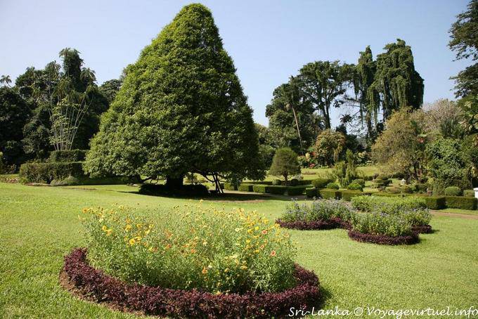 Flower beds and tree diversity, Royal Botanic Gardens, Peradeniya - Sri Lanka Ceylon