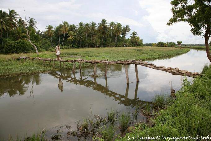 Crossing a fragile wooden bridge pedestrian, road Batukotuwa - Sri Lanka Ceylon