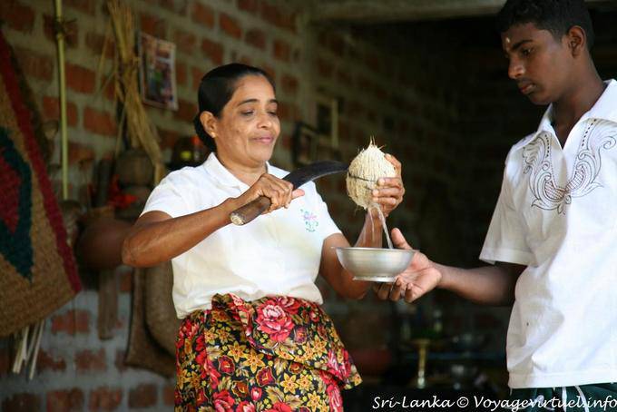 Cup nuts to drink coconut milk, Nalanda - Sri Lanka Ceylon