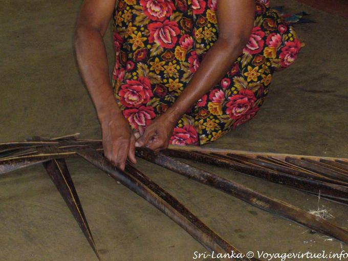 Use coconut, confection with flippers, Nalanda - Sri Lanka Ceylon