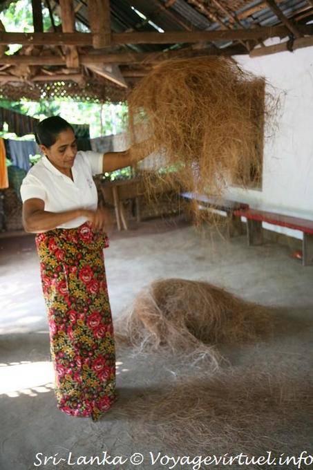 The fiber or coconut husk is used to make brushes, mats ... Nalanda - Sri Lanka Ceylon
