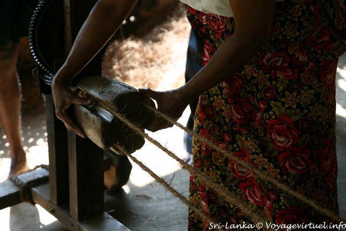 Fibers of the coconut stuffing used for making ropes, Nalanda - Sri Lanka Ceylon