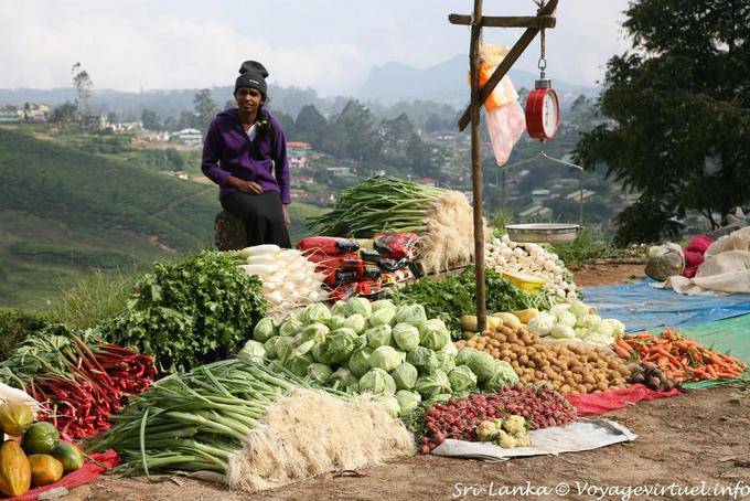 Stall of fresh vegetables on the side of the road, Nuwara Eliya - Sri Lanka Ceylon