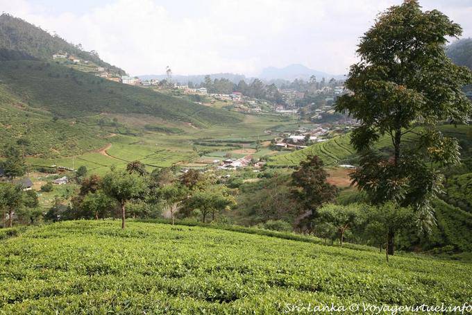 Panorama from the heights arriving in Nuwara Eliya - Sri Lanka Ceylon
