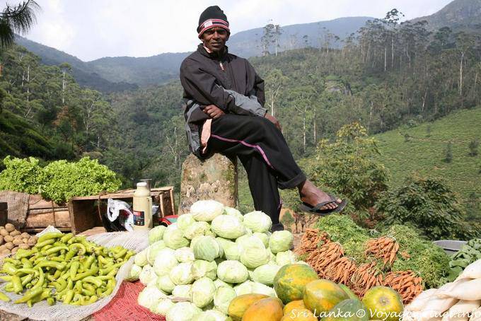 Vegetable vendor in upper Nuwara Eliya - Sri Lanka Ceylon