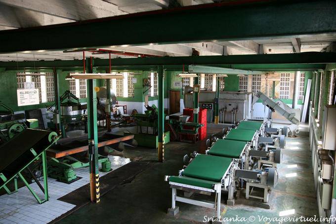 Sorting room tea break, Glenloch Tea Factory, PBC Highway - Sri Lanka Ceylon