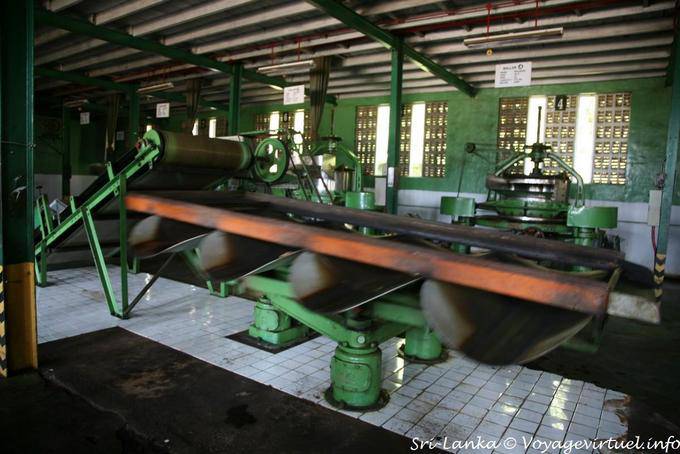 Machines in one of the workshops of the Glenloch Tea Factory, Nuwara Eliya - Sri Lanka Ceylon