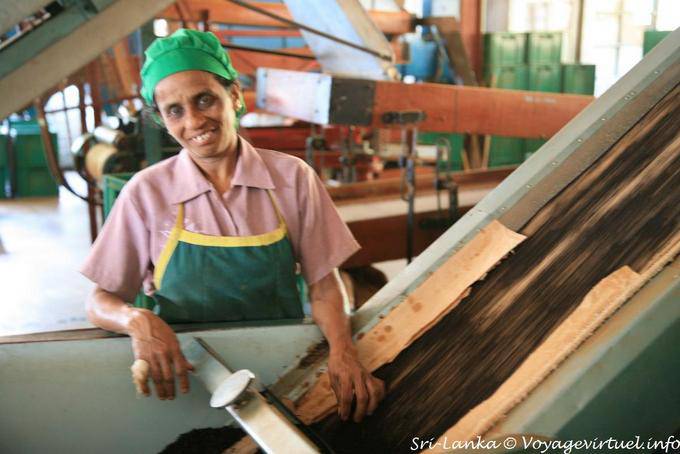 Workers boxes tea maker, Glenloch tea factory, Nuwara Eliya - Sri Lanka Ceylon