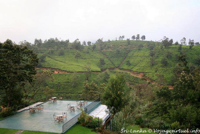 Terrace in the middle of tea plantations landscape, Tea Factory, Nuwara Eliya - Sri Lanka Ceylon