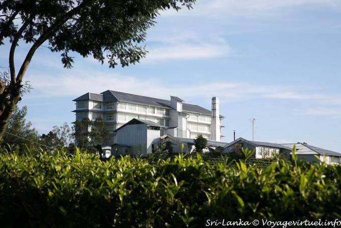 Panoramic Hotel, a former British manufactures, Tea Factory, Nuwara Eliya - Sri Lanka Ceylon