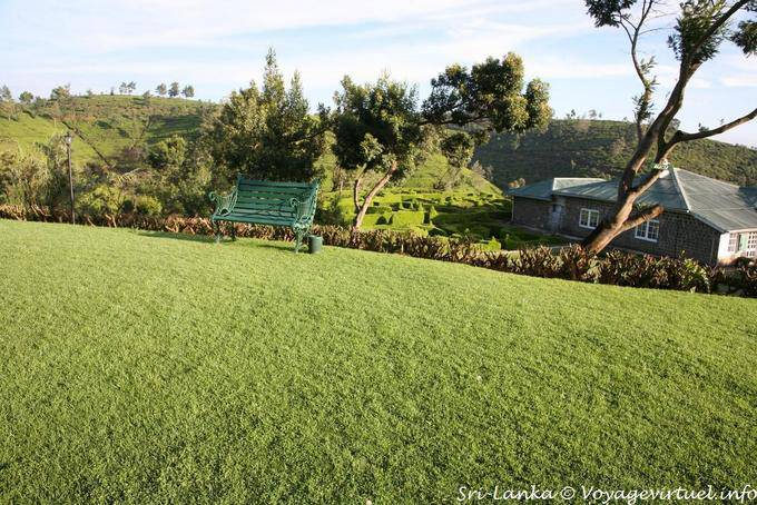 Bench and grass Heritance Tea Factory, Kandapola, Nuwara Eliya - Sri Lanka Ceylon