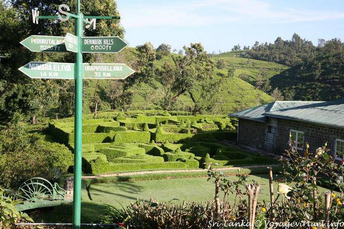 Topiary in the garden of the Tea Factory Hotel, Nuwara Eliya - Sri Lanka Ceylon