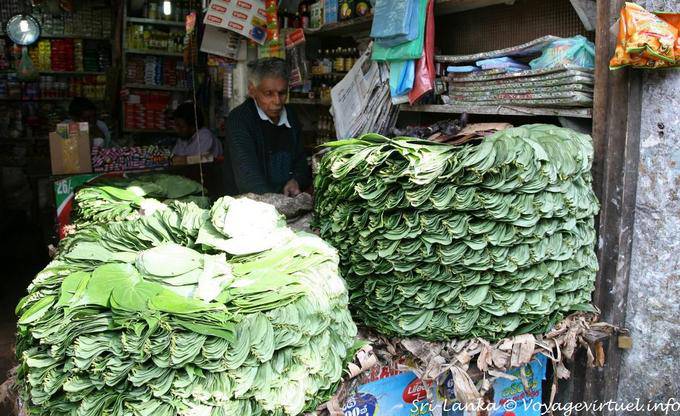 Pile of leaves for decision betel Market Nuwara Eliya - Sri Lanka Ceylon