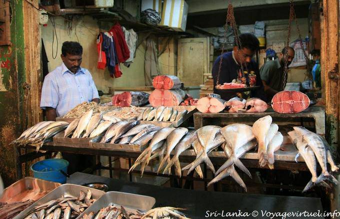Fresh fish on the fishmonger's stall, Nuwara Eliya Market - Sri Lanka Ceylon