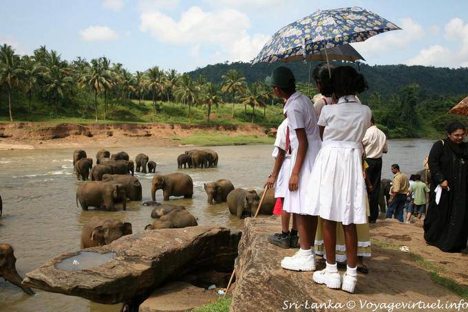 Schoolgirls dressed in white admiring the elephants bath Pinnawela - Sri Lanka Ceylon