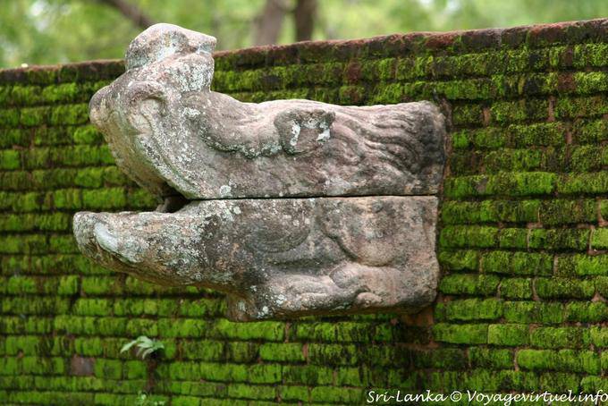 So outgoing gargoyle of a wall, Alahana Parivena, Polonnaruwa - Sri Lanka Ceylon