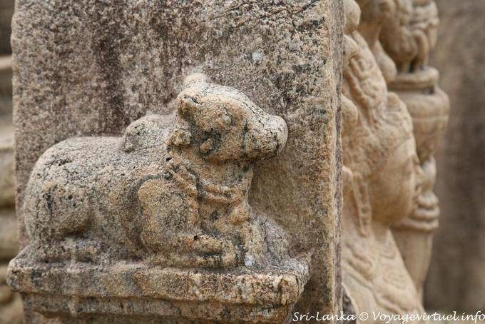 Stone Zebu, Terrace of the Tooth, Polonnaruwa - Sri Lanka Ceylon
