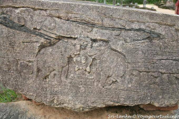 Lion and monkey face-to-face relief Terrace of the Tooth, Polonnaruwa - Sri Lanka Ceylon