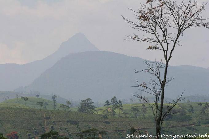 Mountains in the Mist (peak of Adam), Central Province - Sri Lanka Ceylon