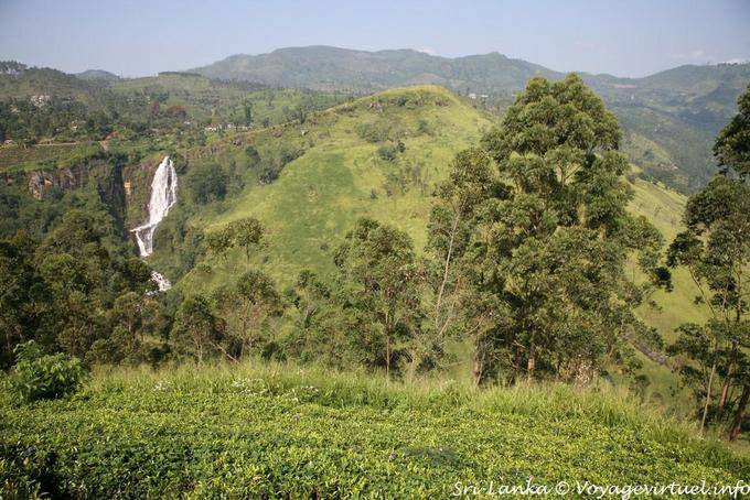 Environment Devon waterfall to Talawa - Sri Lanka Ceylon