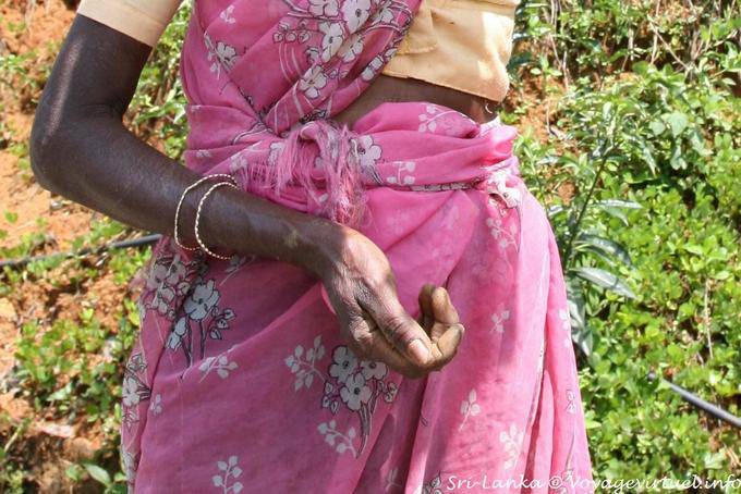 The hand of the poor worker, Kalugala - Sri Lanka Ceylon